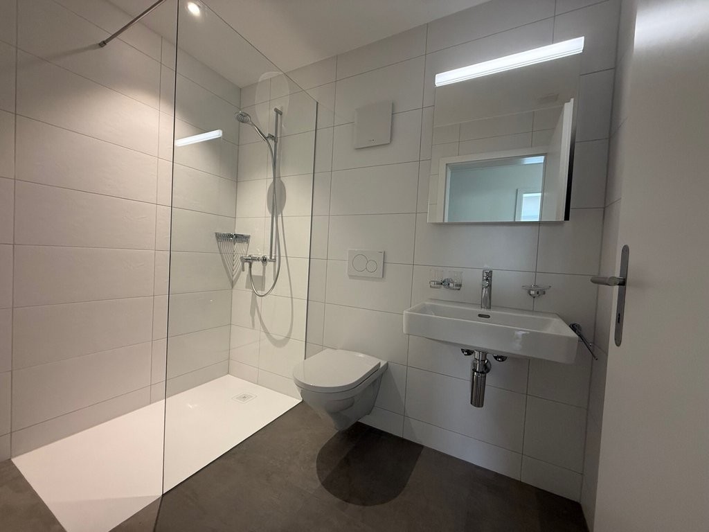3 ½ rooms apartment (8)