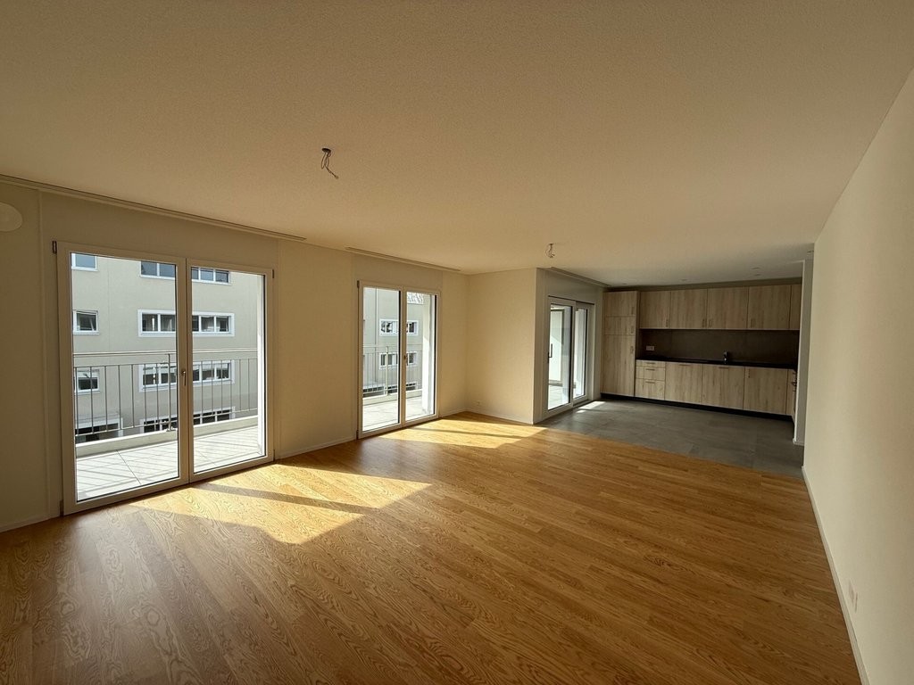 3 ½ rooms apartment (3)
