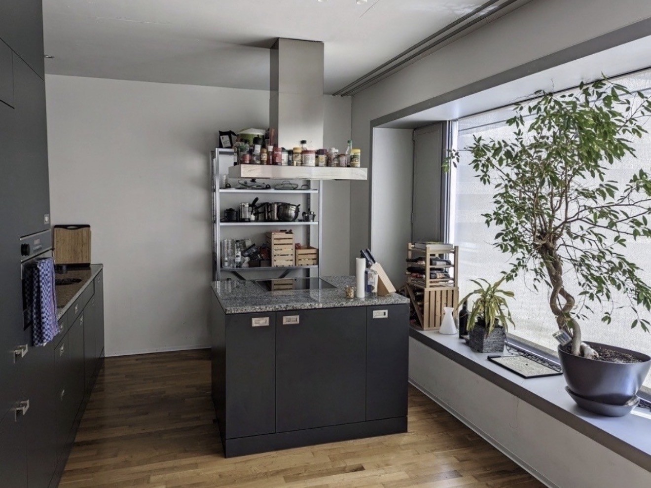 Zimmer in einer WG, Foto 2 von 8