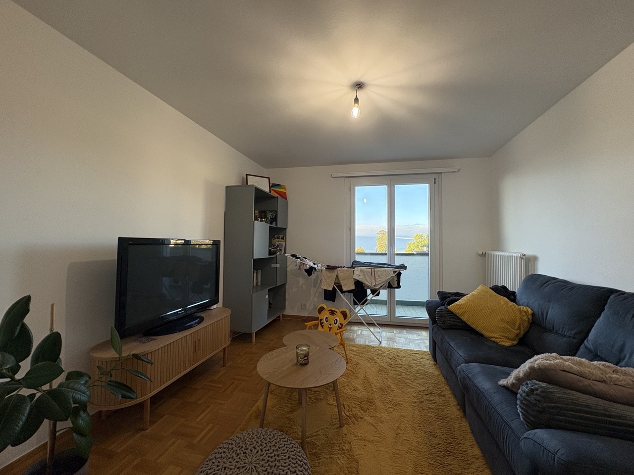 3 ½ Zimmer Wohnung
