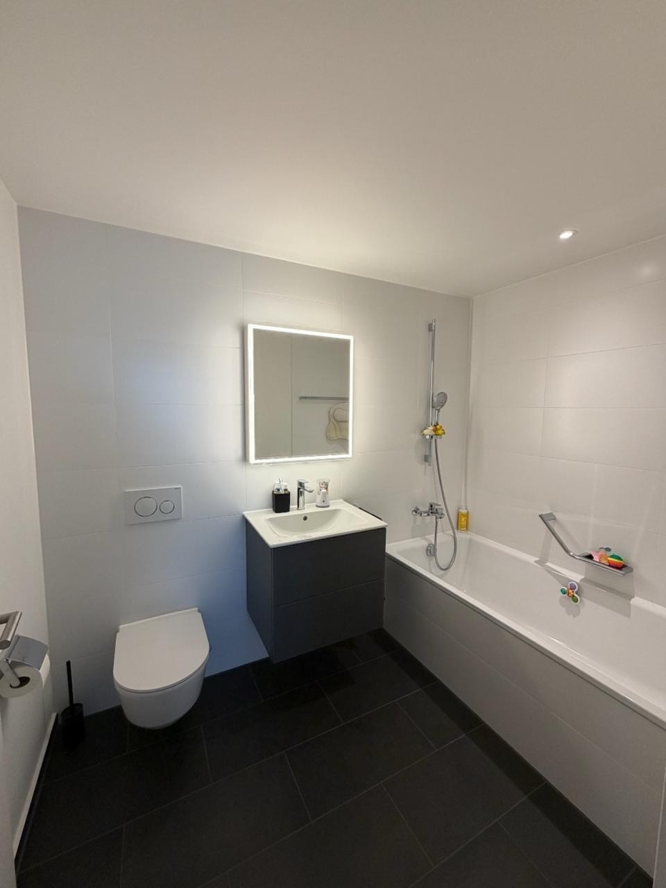 4 ½ rooms apartment