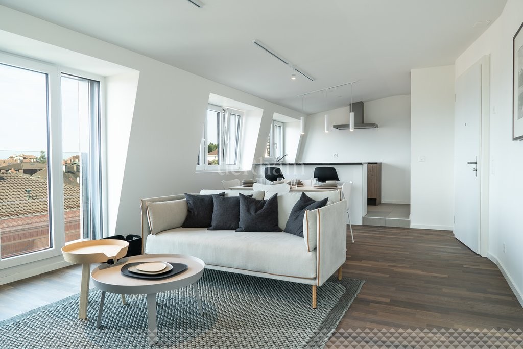 1 room loft