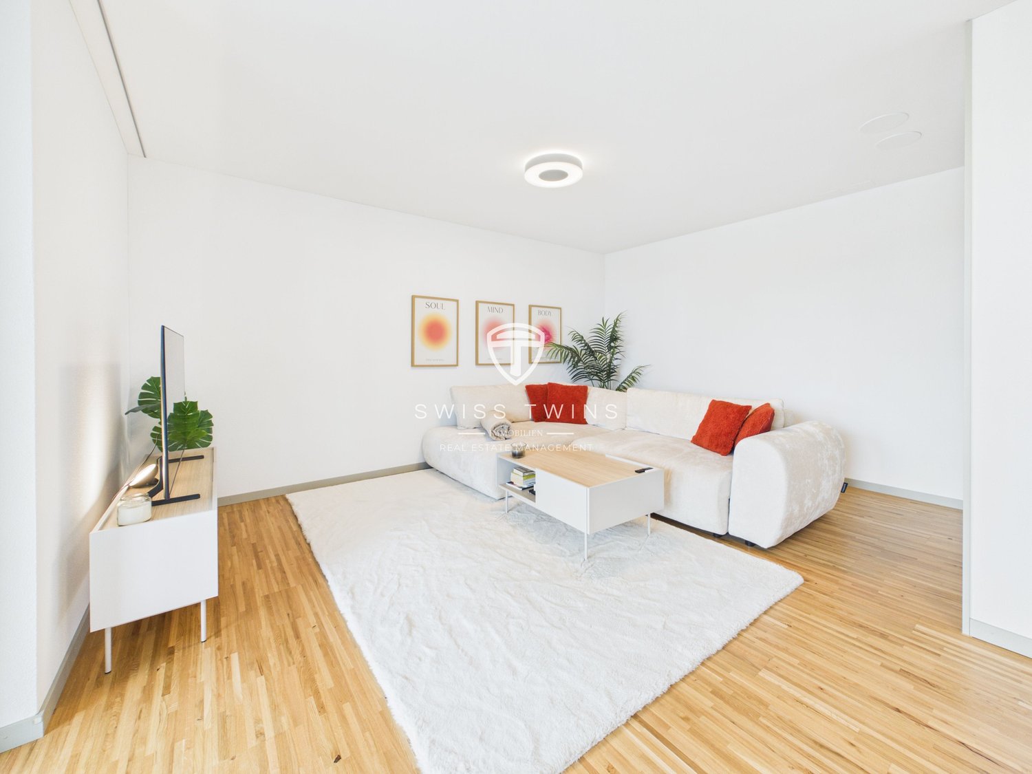 Appartement de 3 ½ pièces