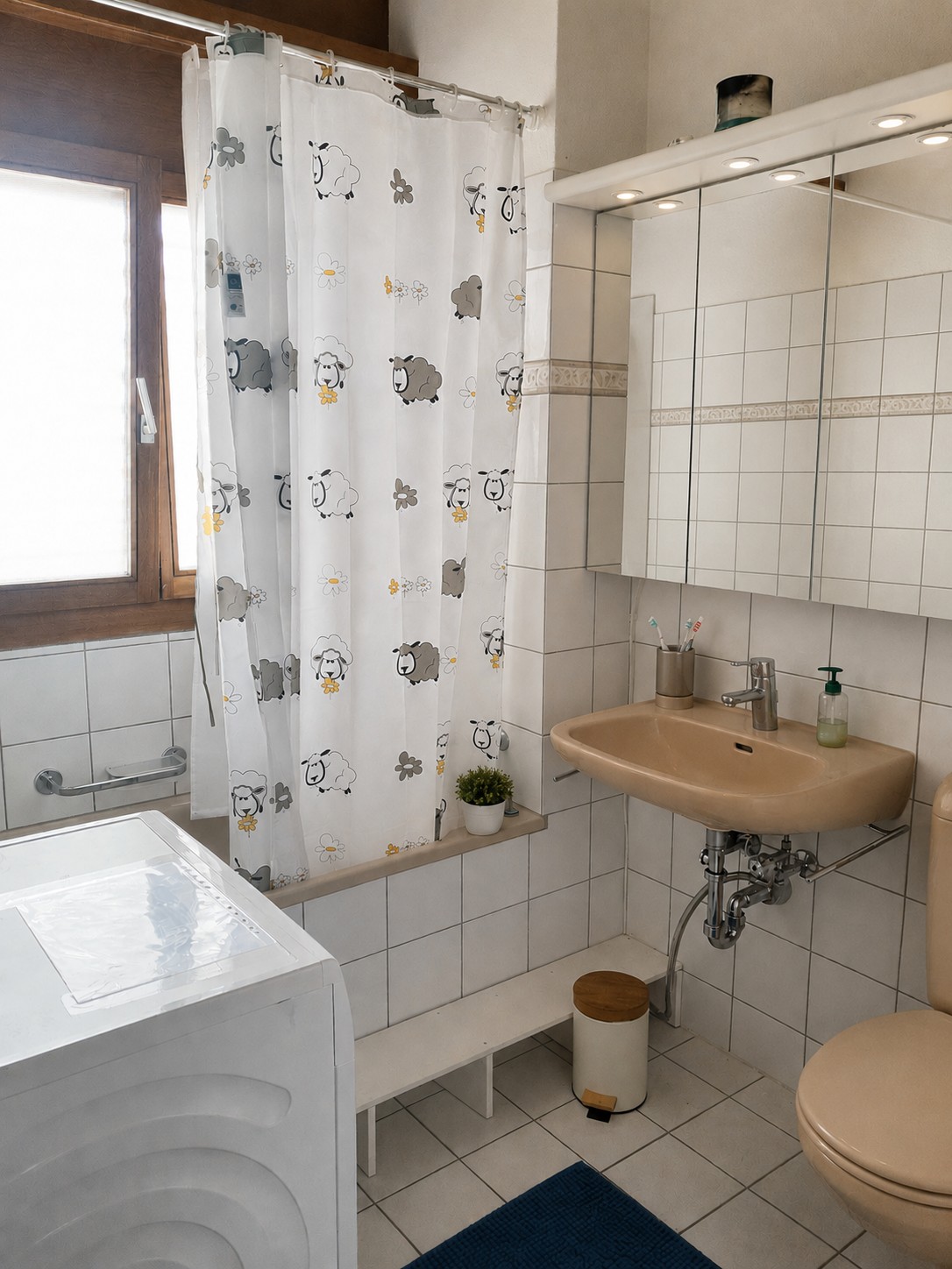 4 ½ rooms apartment