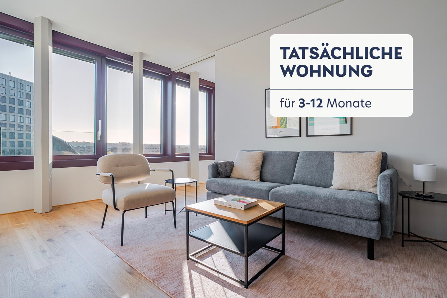 2 ½ pièces appartement meublé