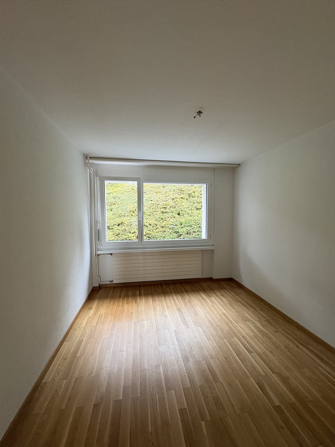 Appartamento di 2 ½ locali, foto 4 di 5