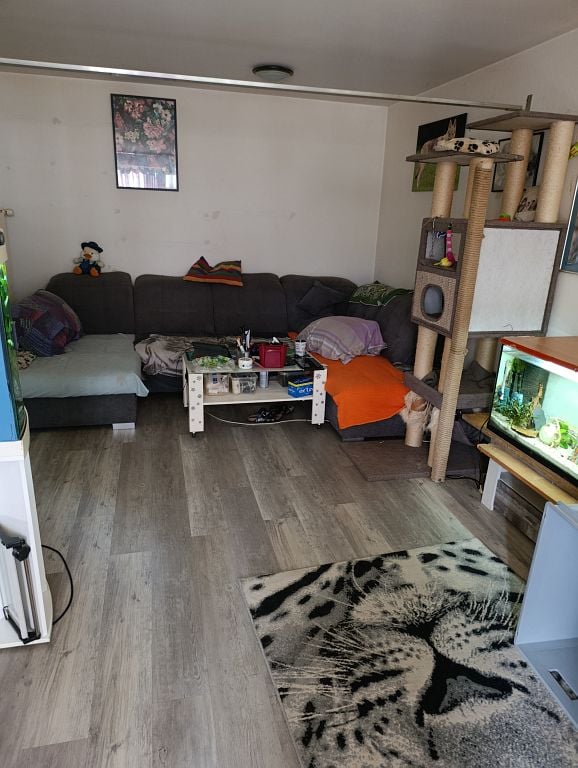 3 ½ rooms apartment, Foto 4 von 6
