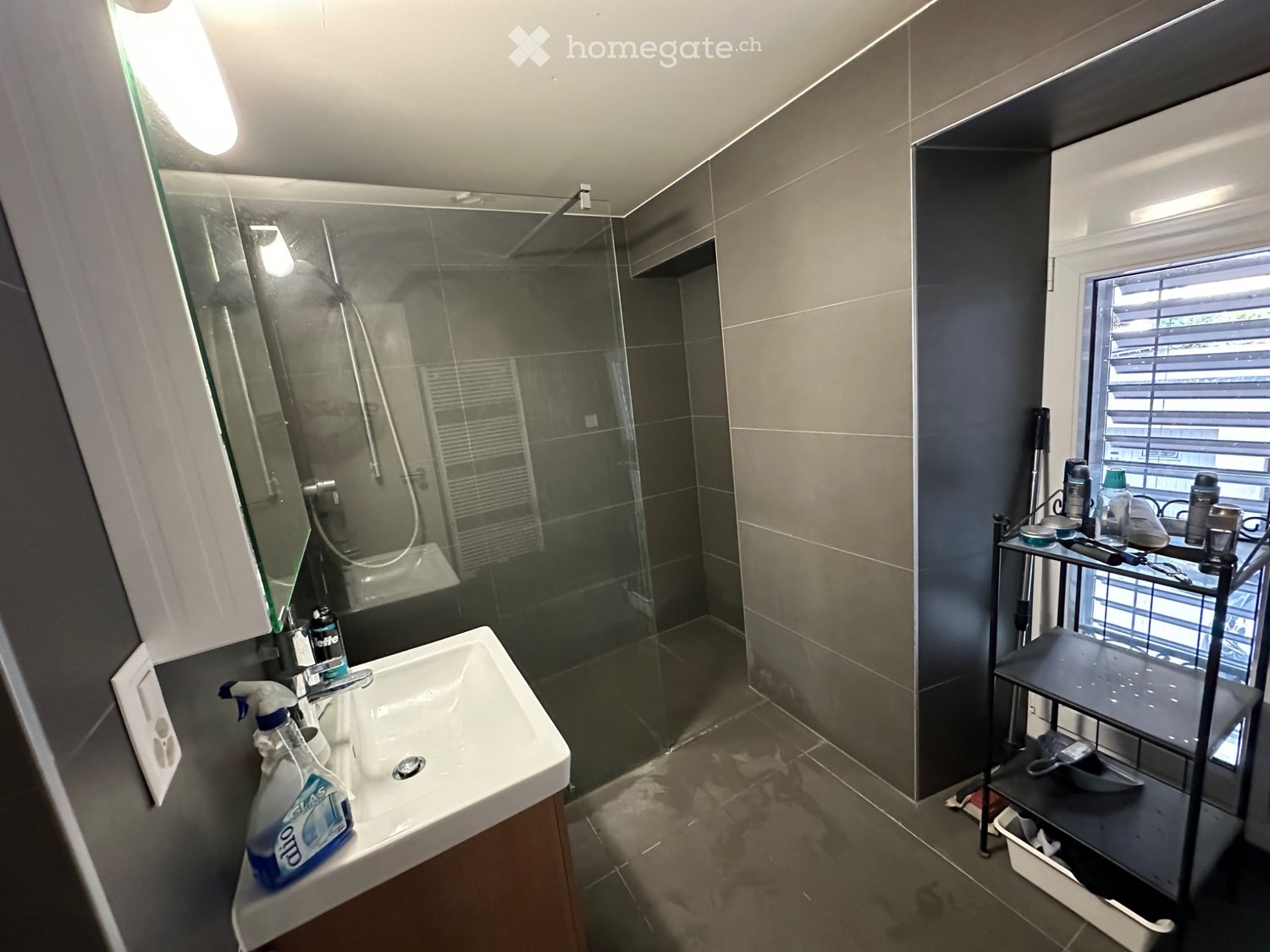 2 ½ Zimmer Wohnung, Foto 3 von 5