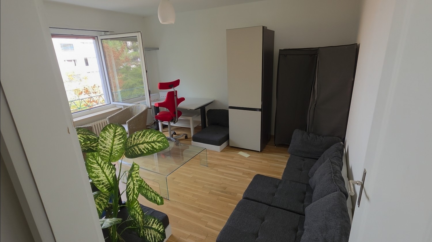 Room in a shared flat