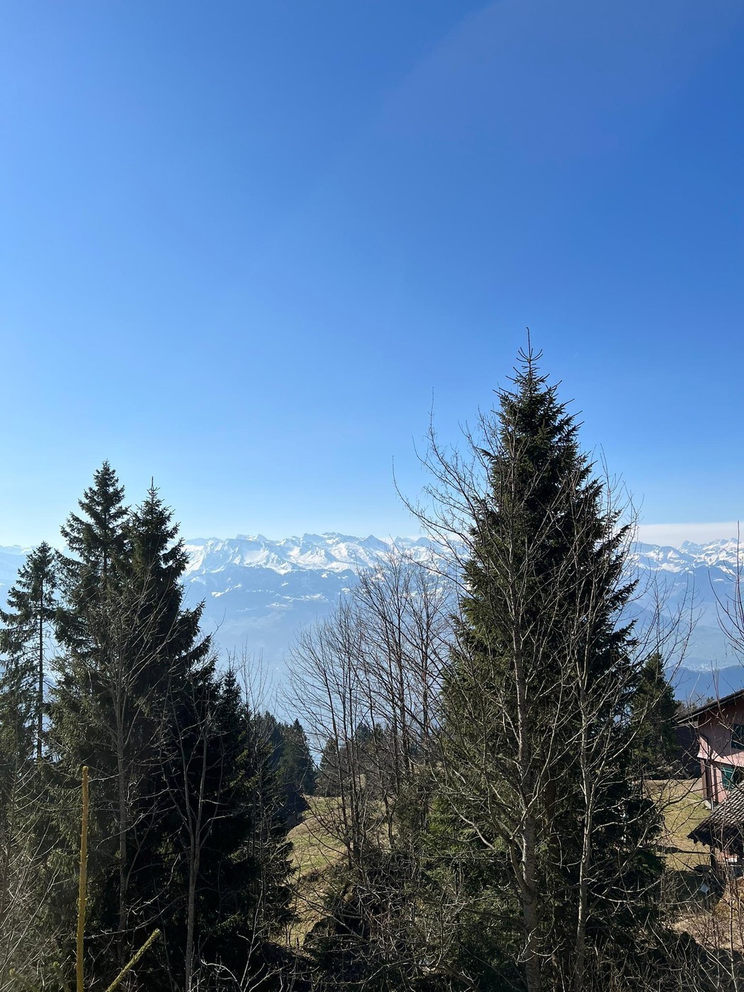 2-Zimmer-Wohnung mit Terrasse, Foto 8 von 10