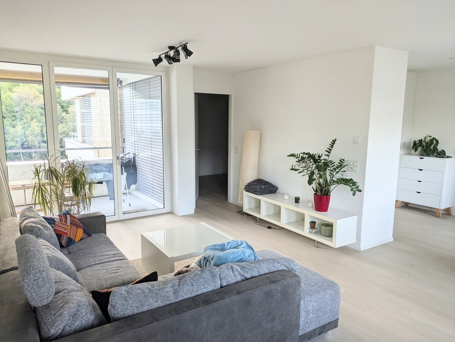 Room in a shared flat