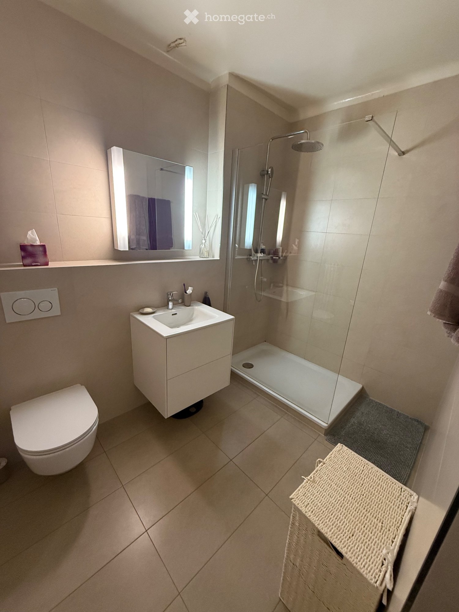4 ½ Zimmer-Wohnung