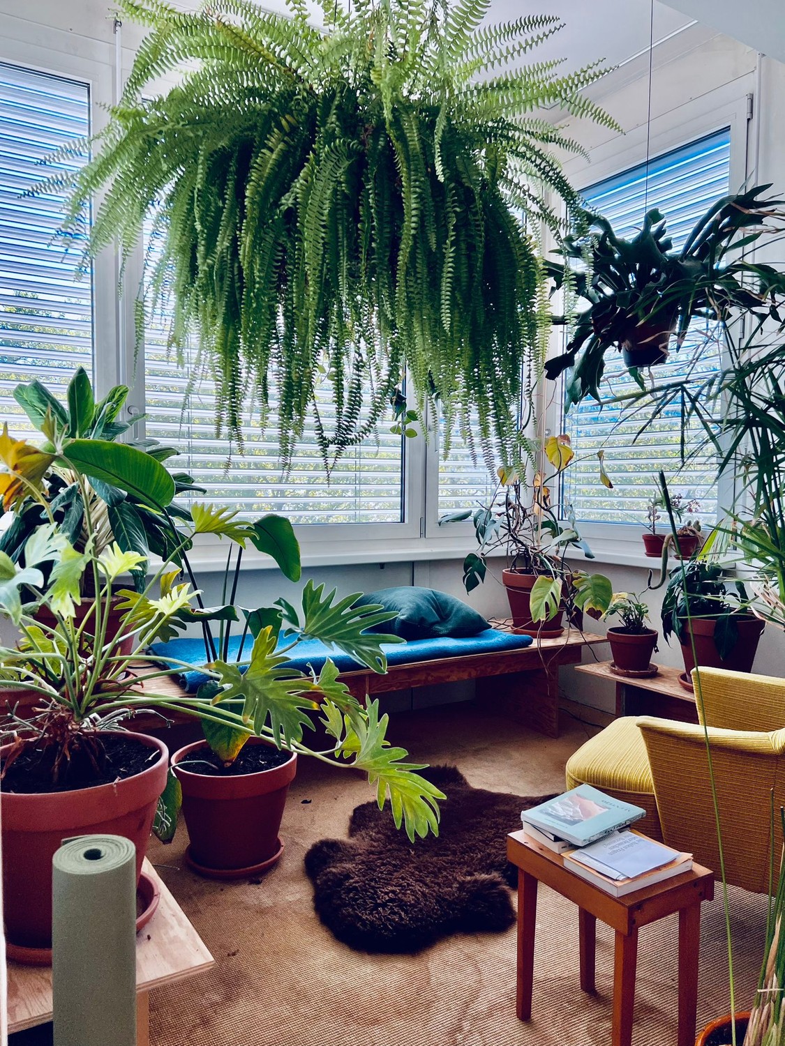 Room in a shared flat, Foto 9 von 10