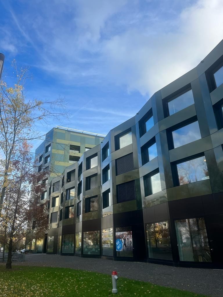 2 ½ Zimmer Wohnung, Foto 8 von 8