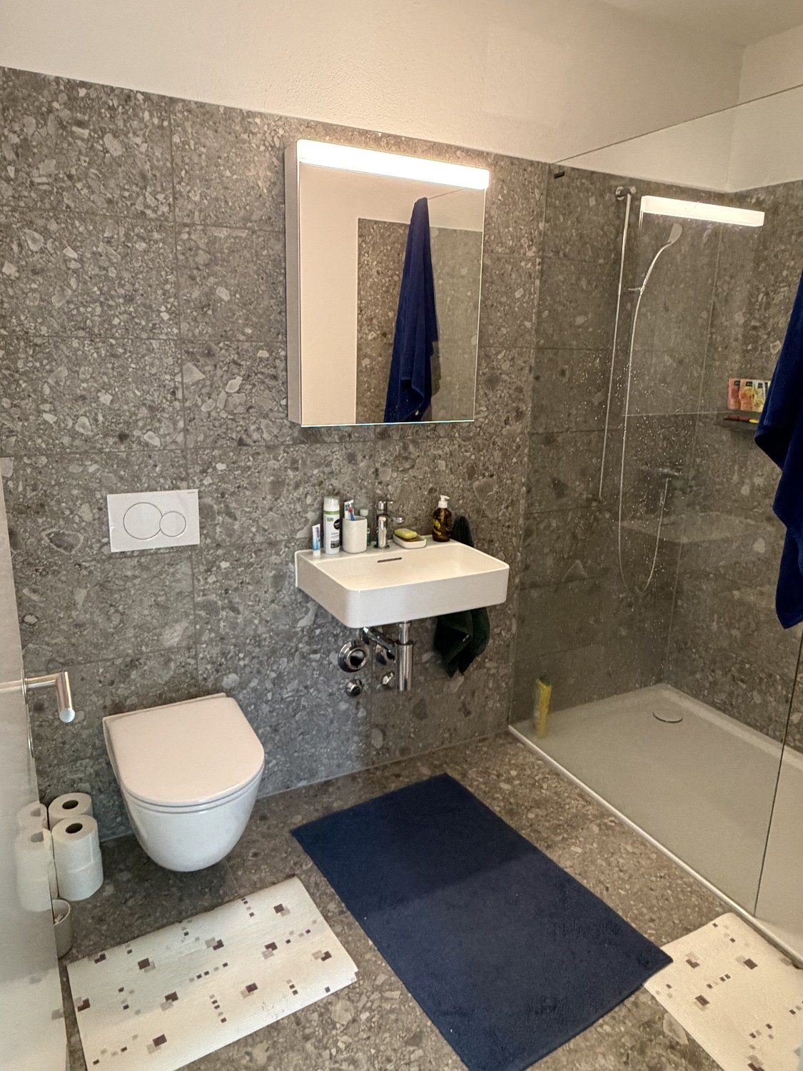 2 ½ Zimmer Wohnung, Foto 7 von 10