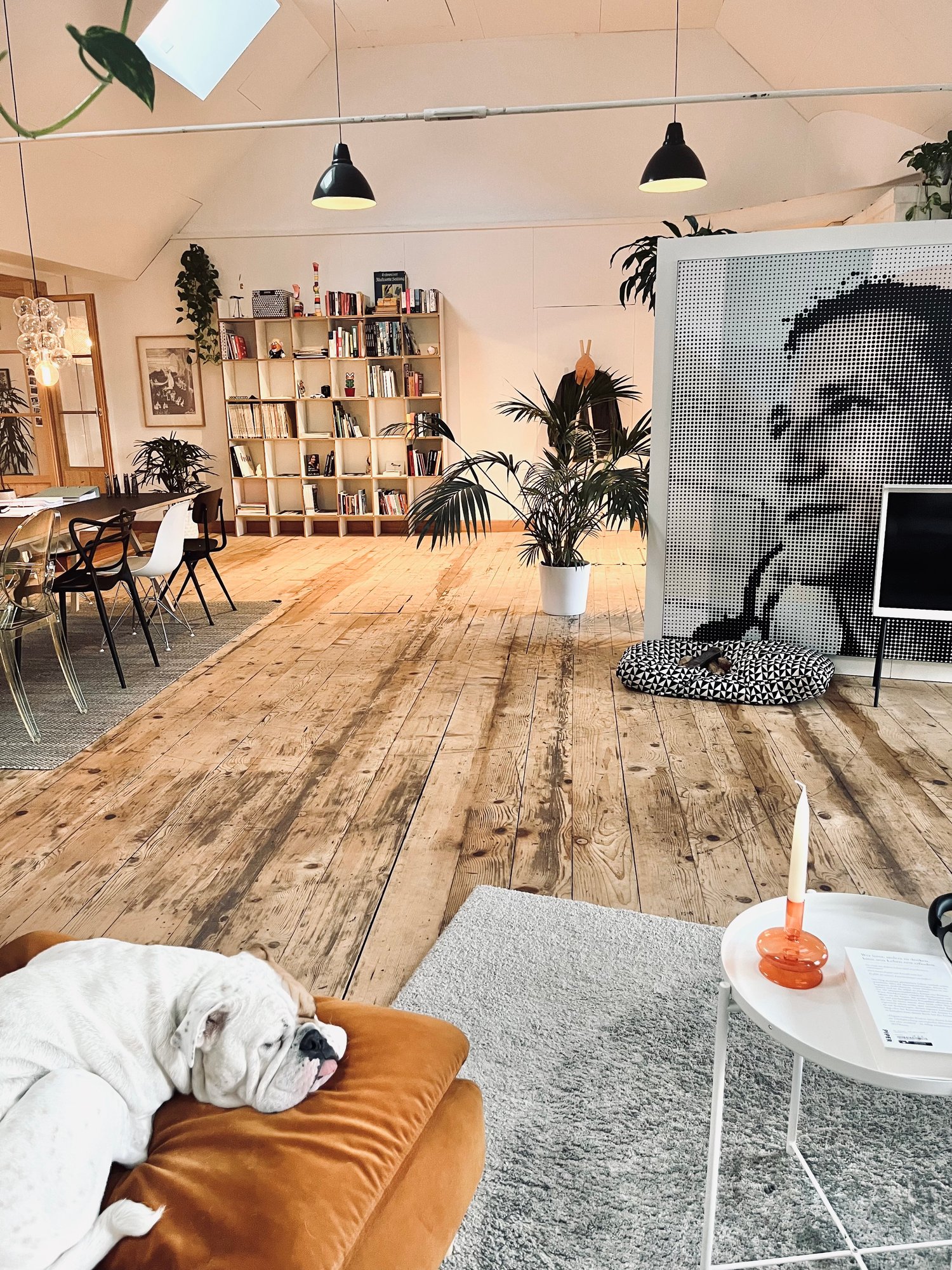 Room in a shared flat