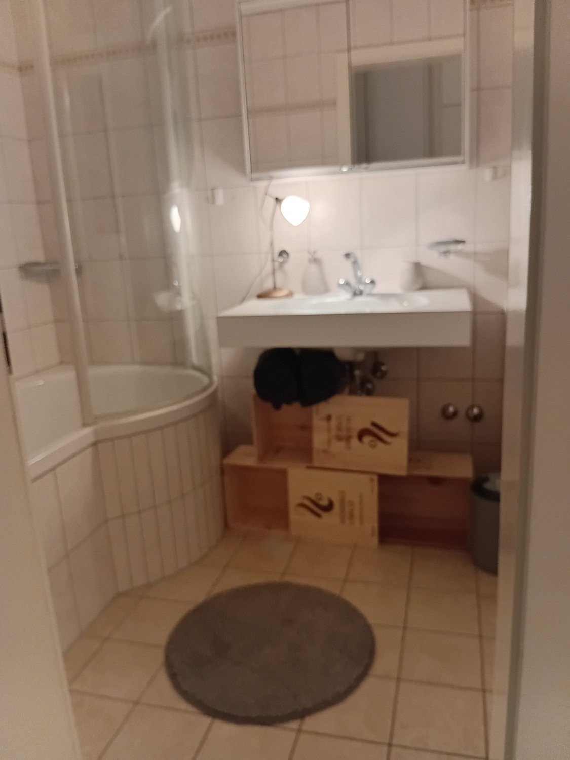 4 ½ rooms furnished flat