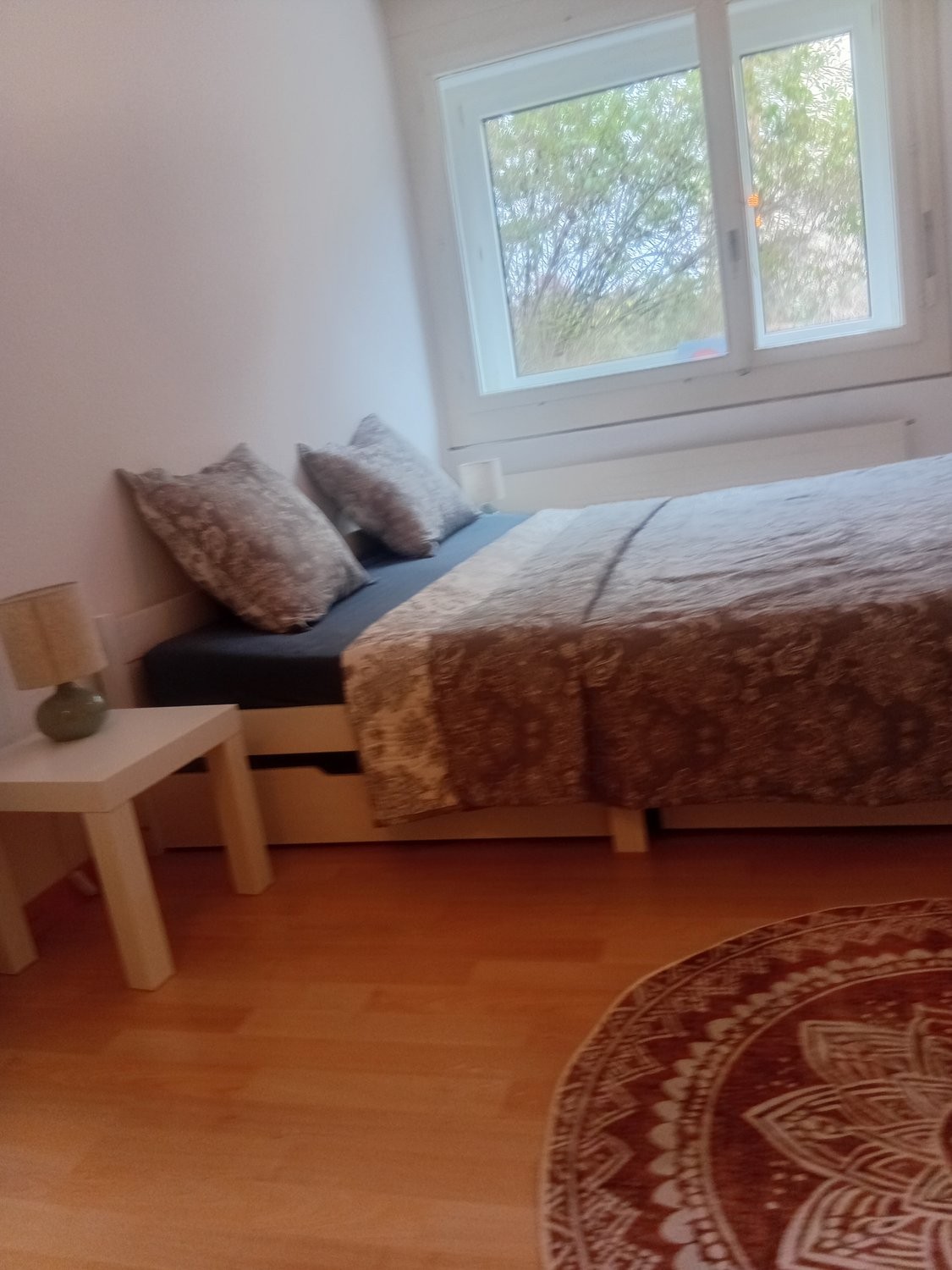 4 ½ rooms furnished flat