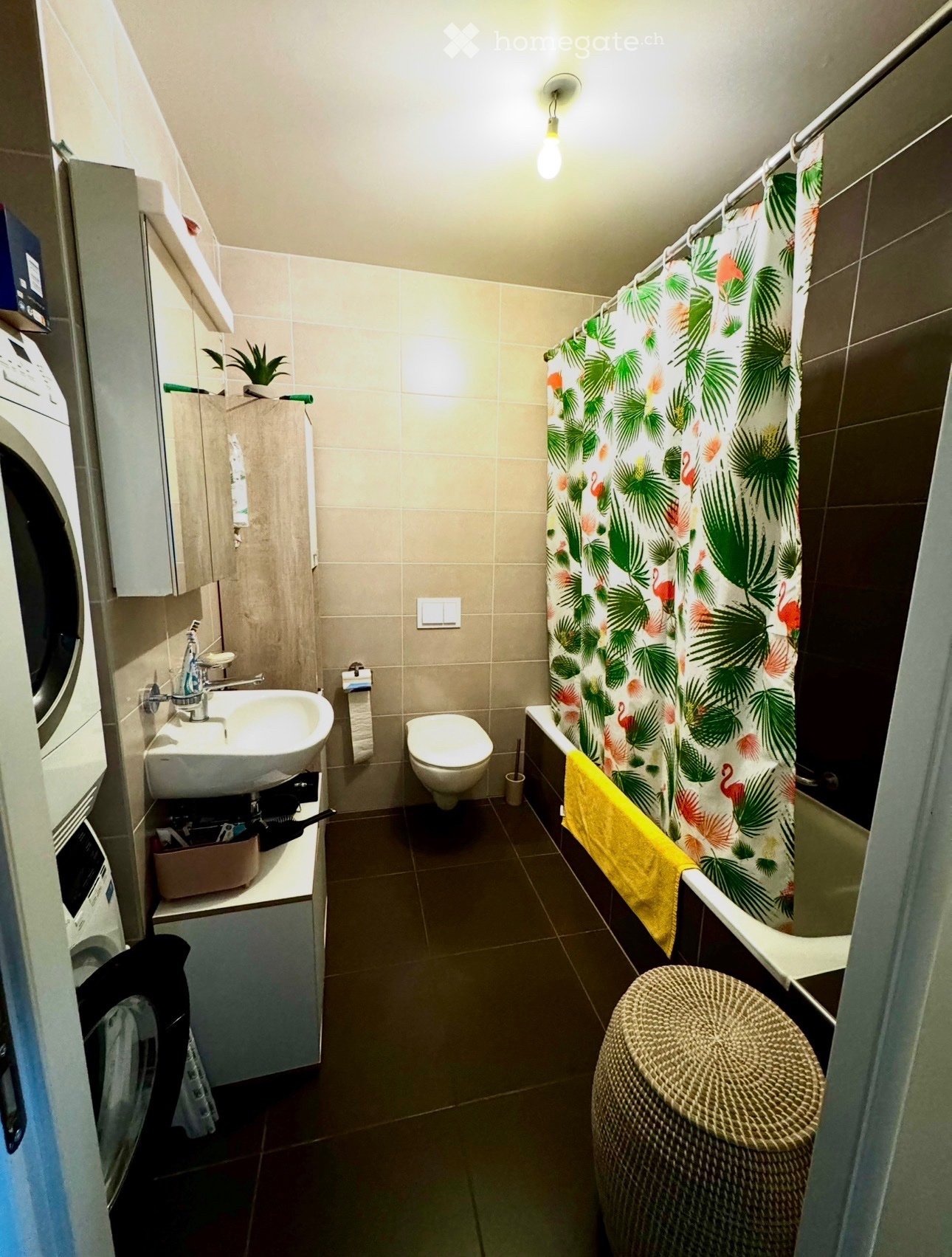 3 Zimmer Wohnung, Foto 3 von 5