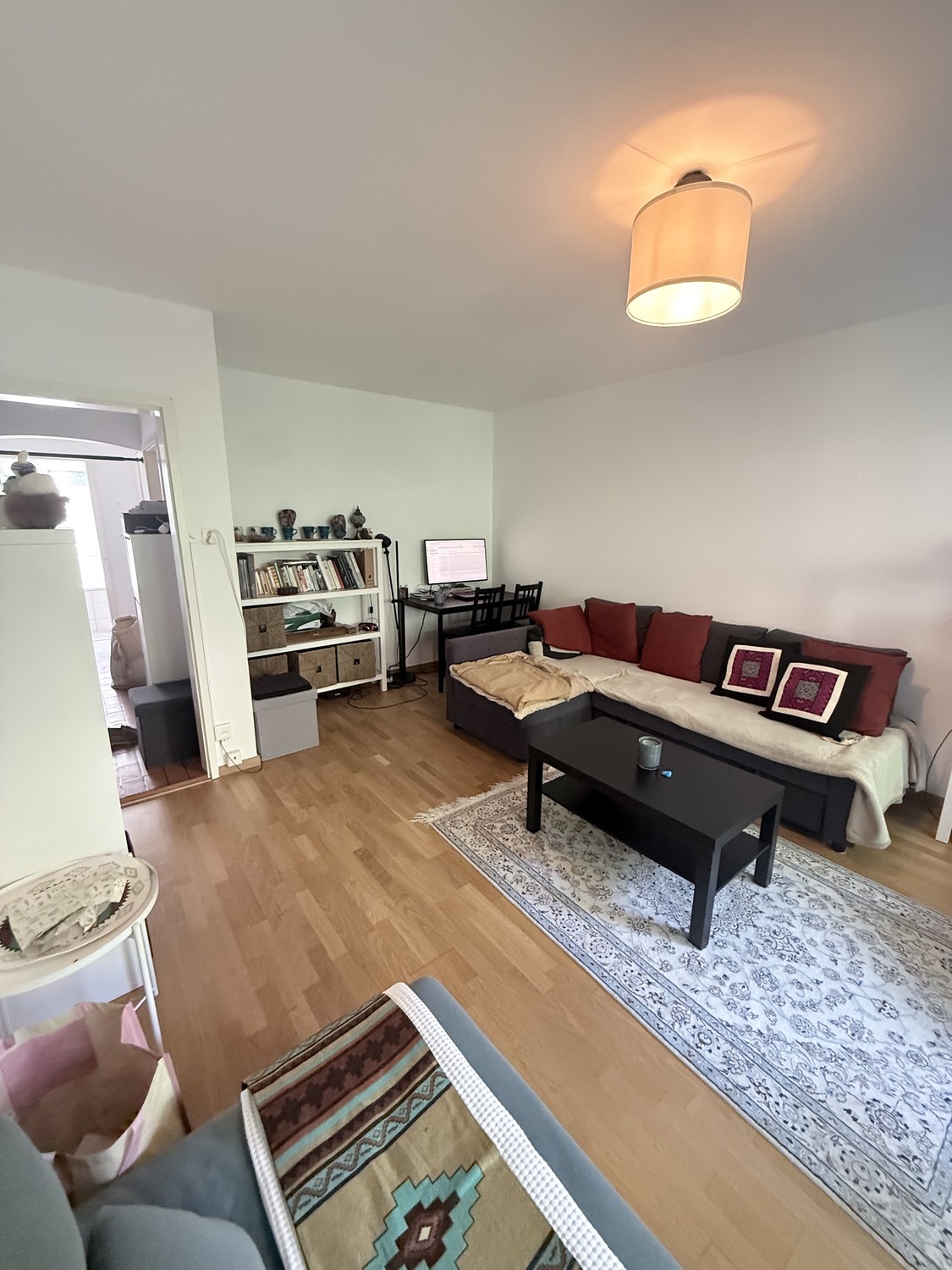 3 ½ Zimmer Wohnung