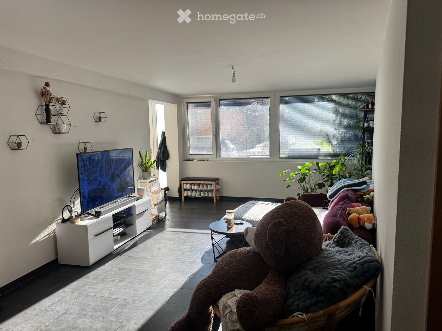2-Zimmer-Wohnung, Foto 1 von 5