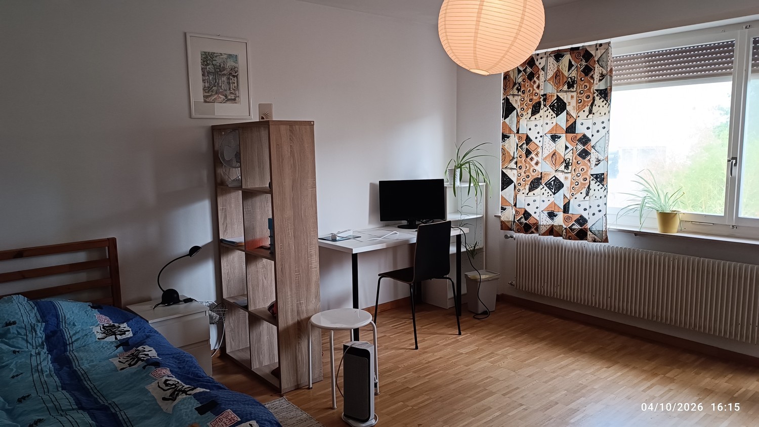 Room in a shared flat