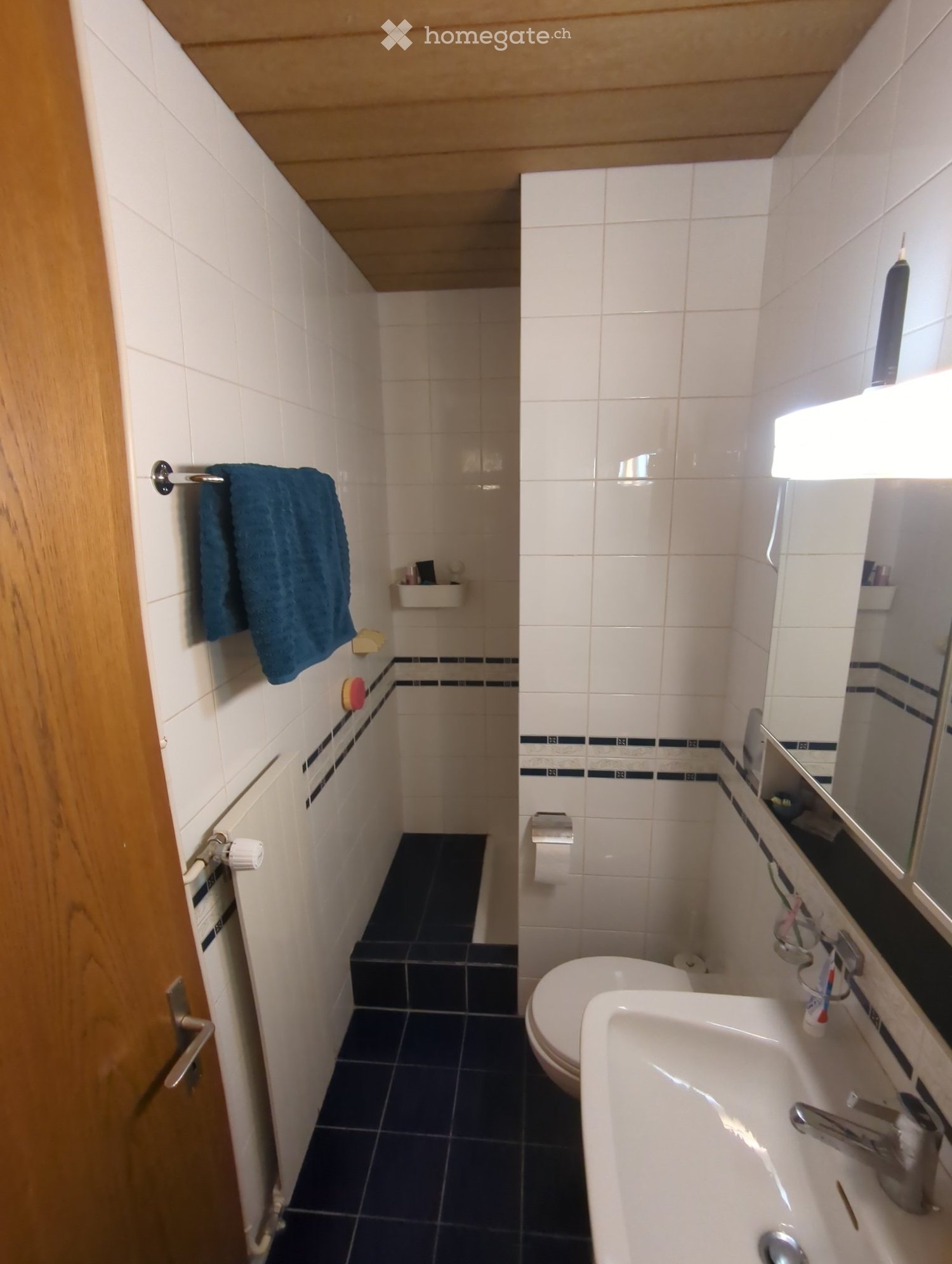 2 ½ Zimmer-Wohnung
