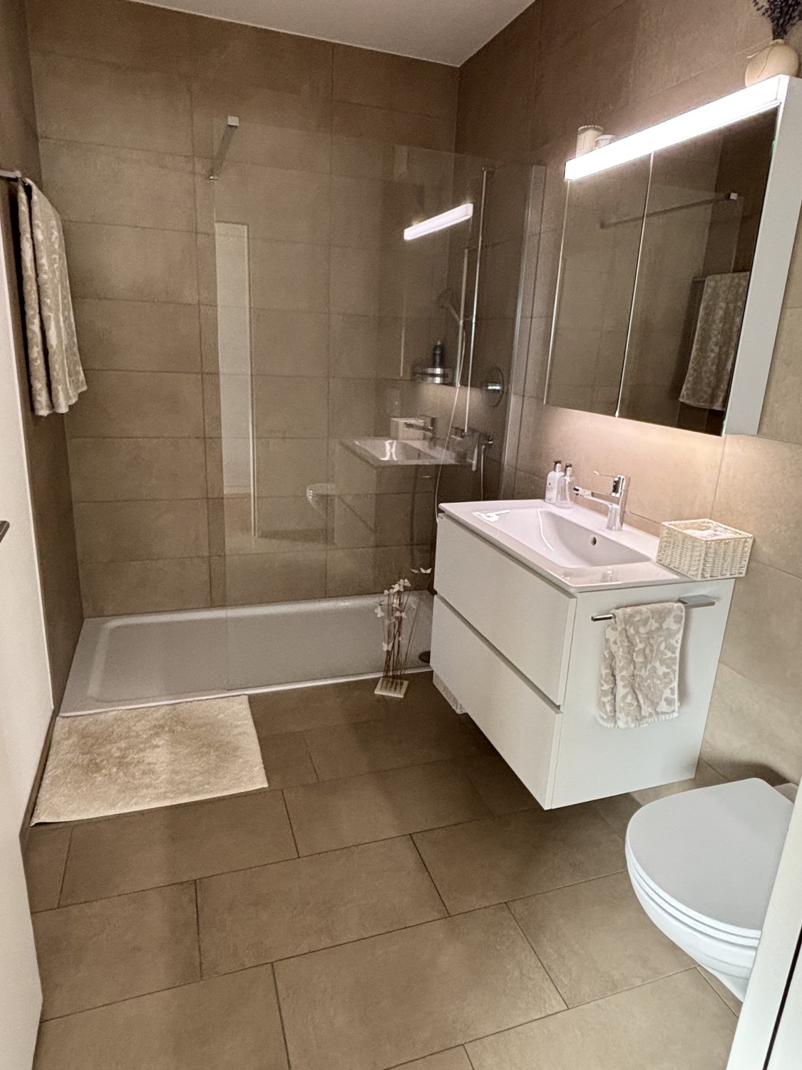 2 ½ rooms apartment