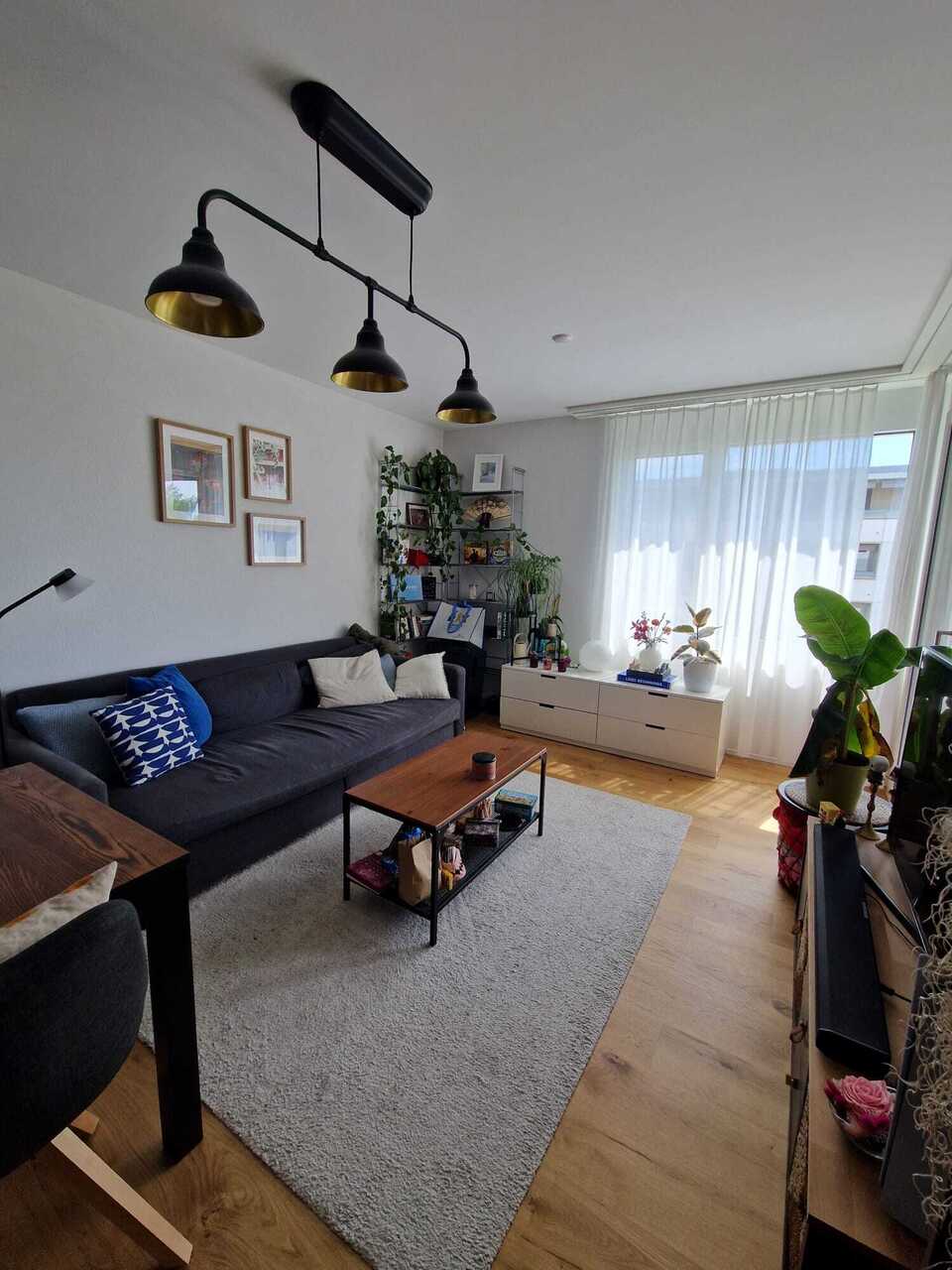 Appartamento di 3 ½ locali