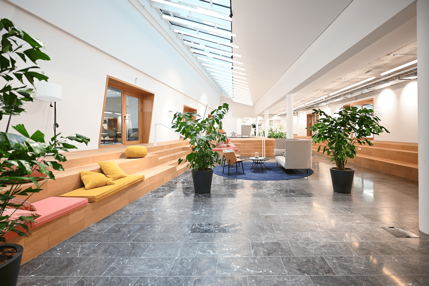 466m² commercial
