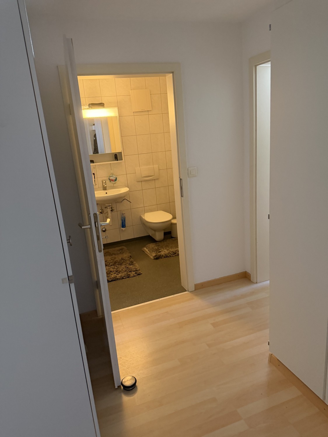 2 ½ rooms apartment, Foto 1 von 6