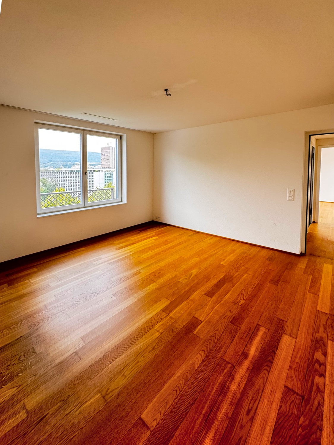 4 ½ rooms attic flat