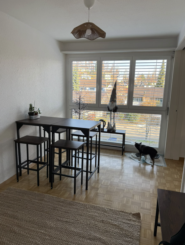 3 ½ rooms apartment, Foto 2 von 7