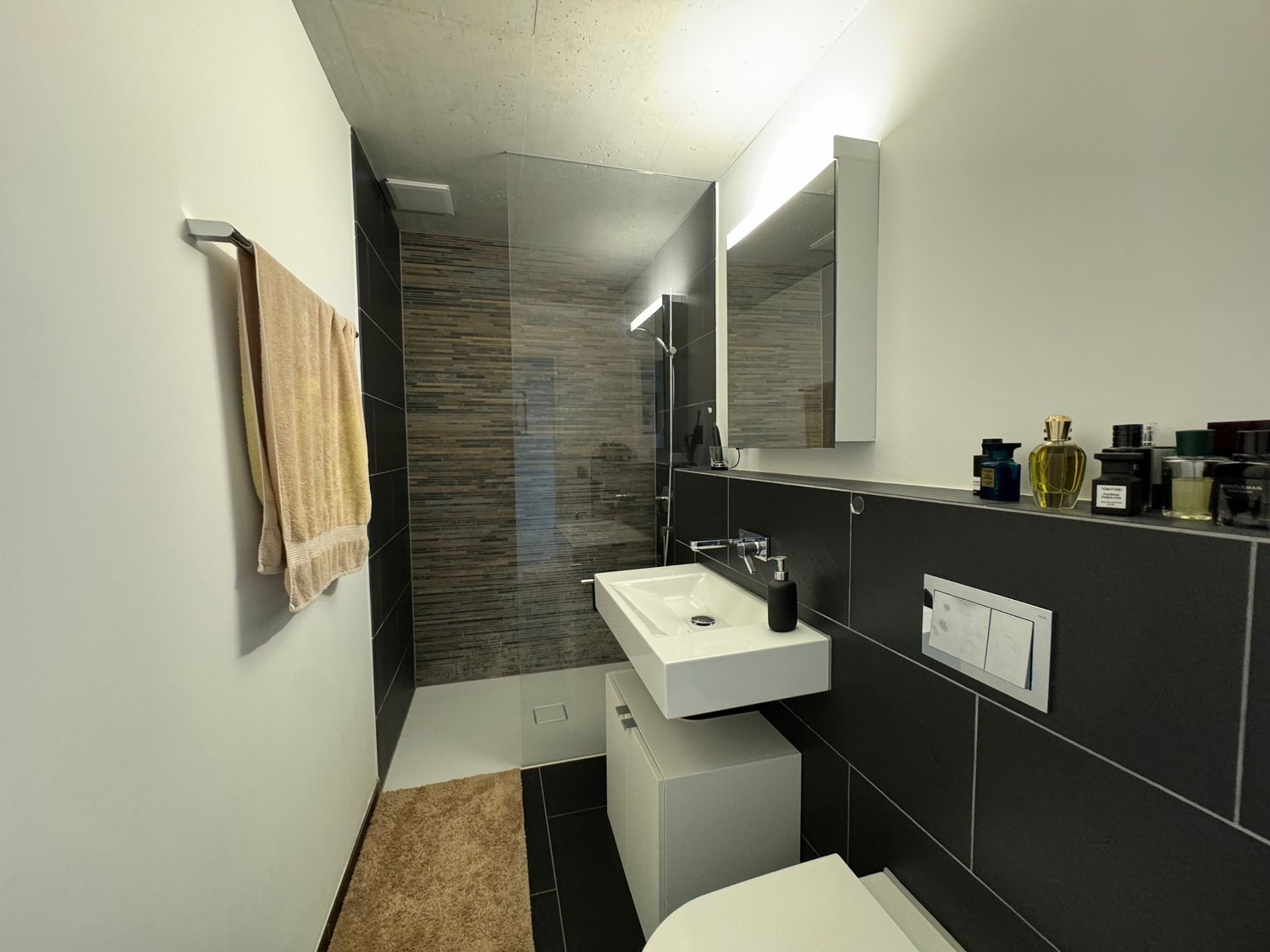 Appartement de 2 ½ pièces