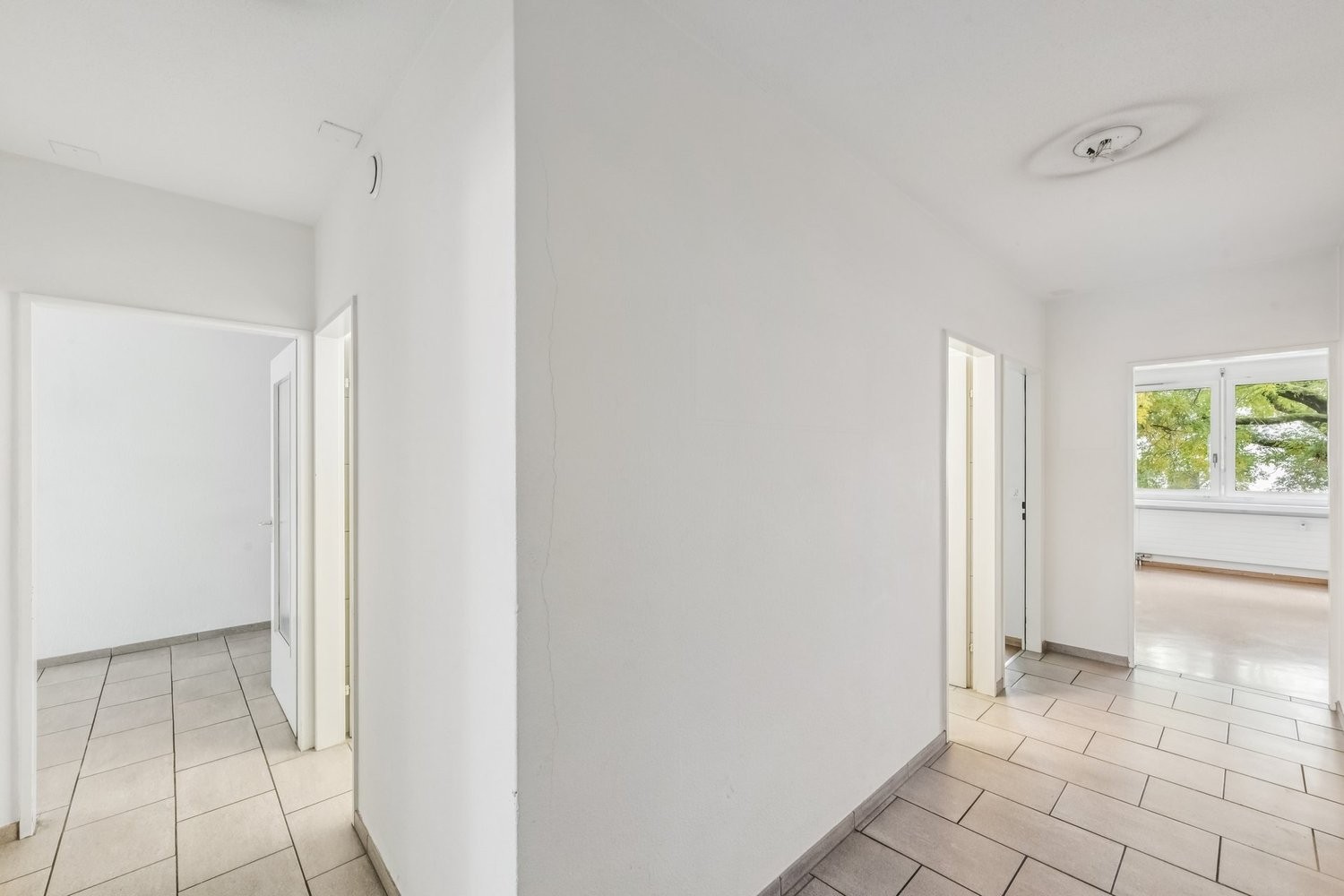 81m² commercial, Foto 2 von 10