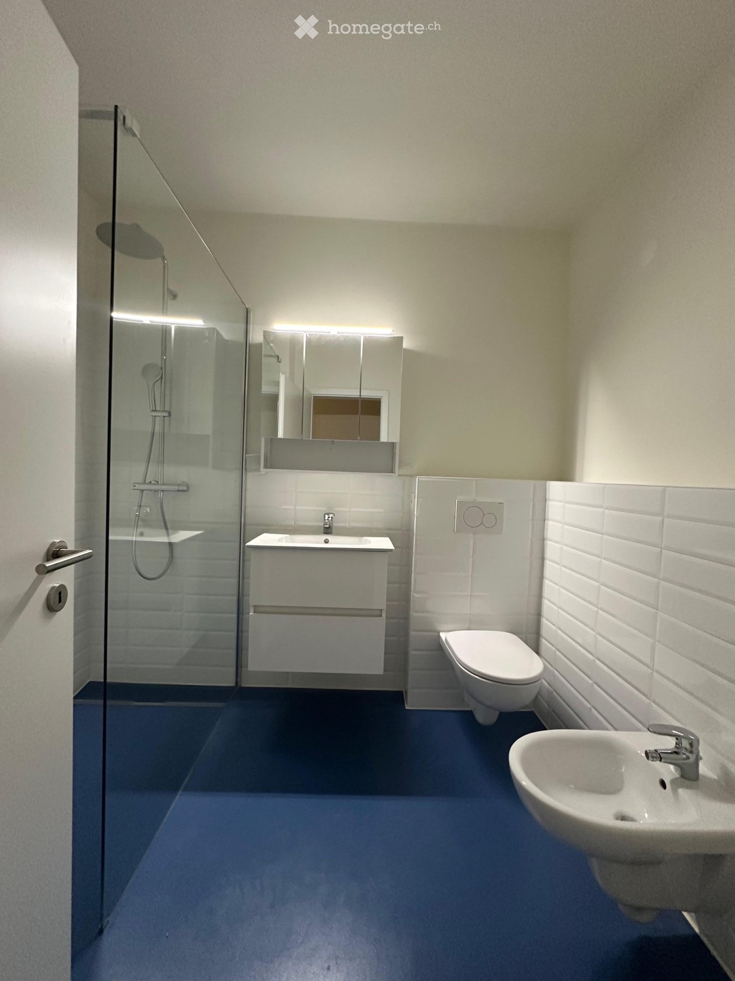 3 ½ Zimmer Wohnung