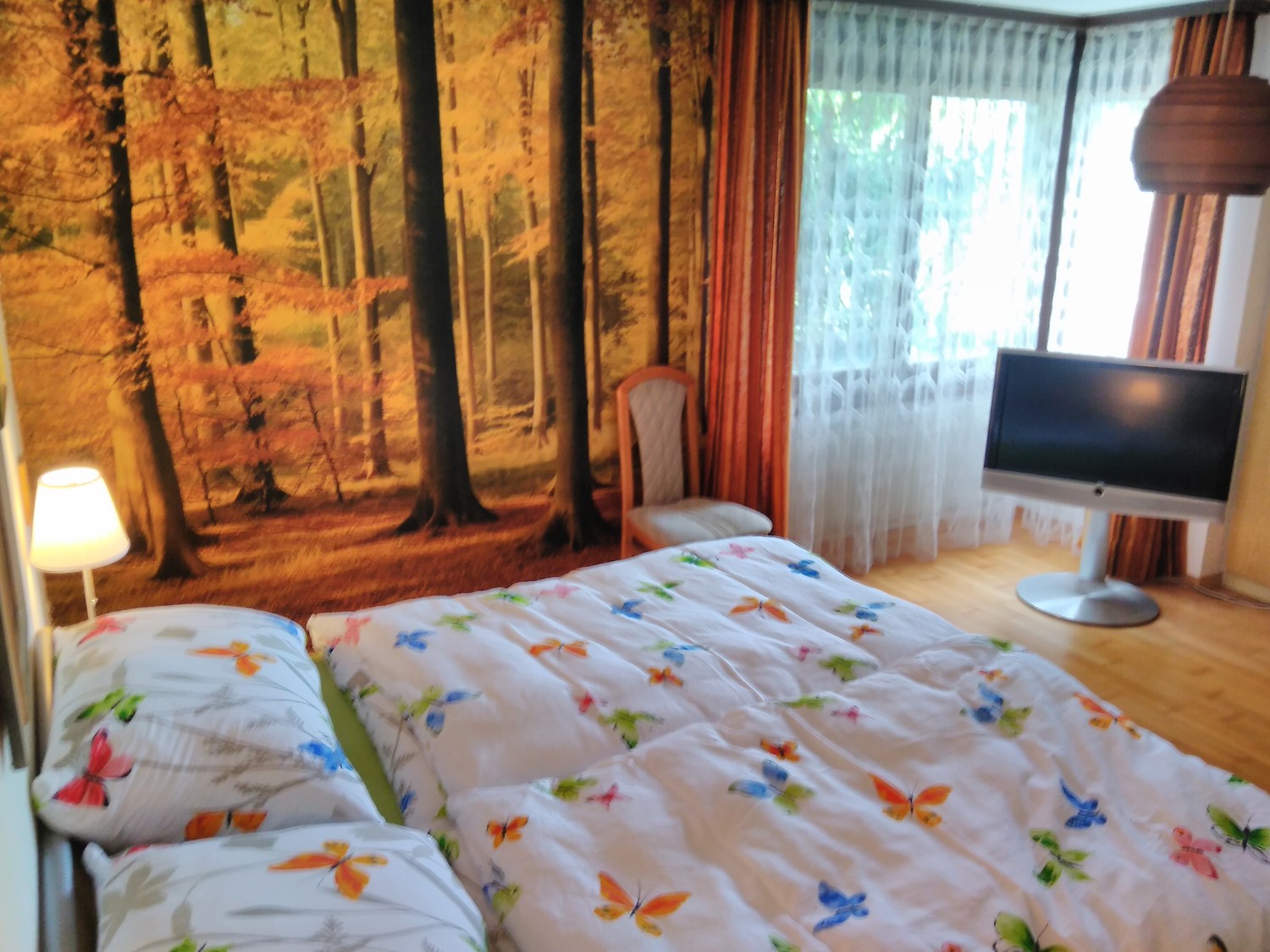 Room in a shared flat