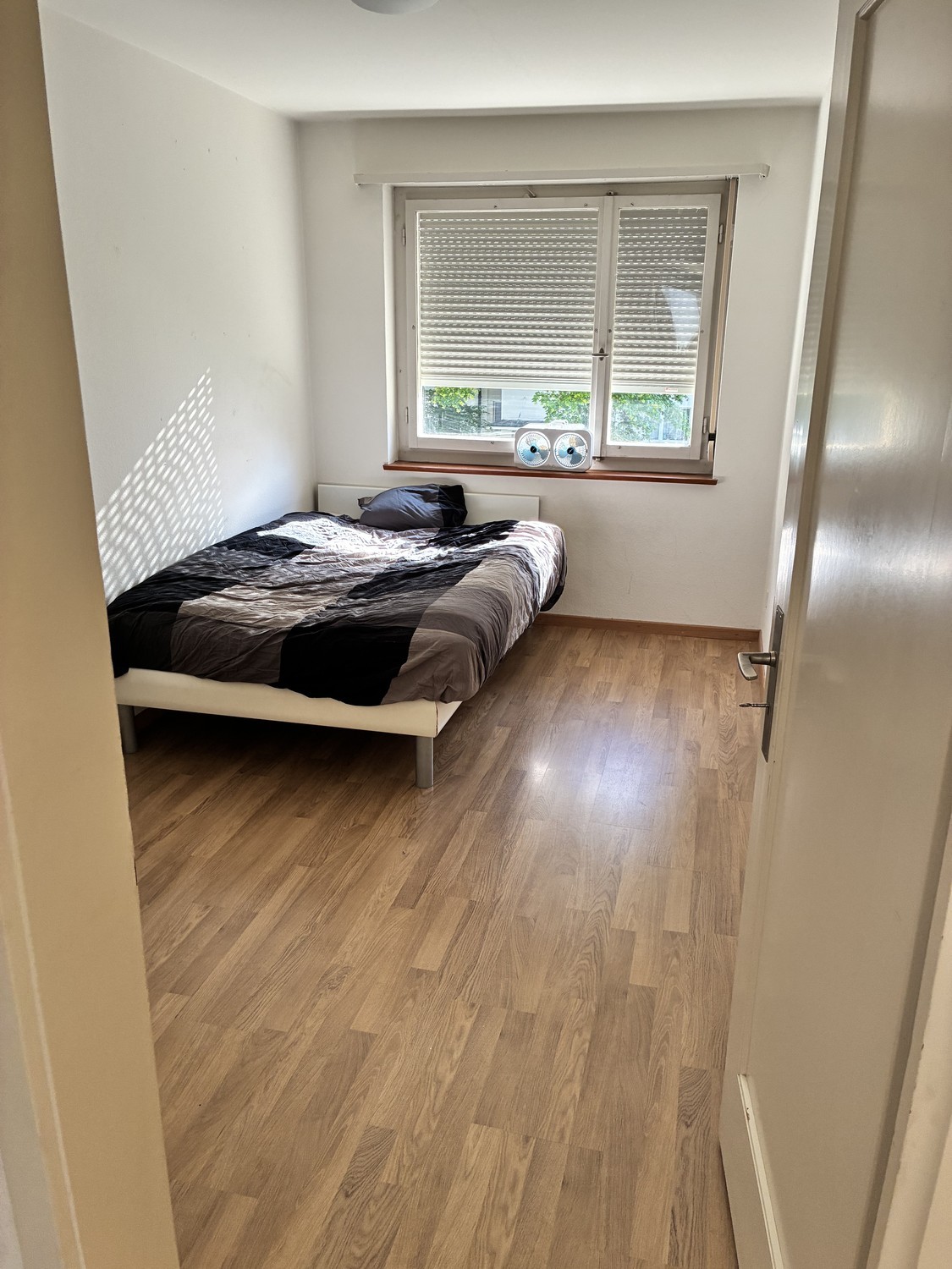 Room in a shared flat (6)