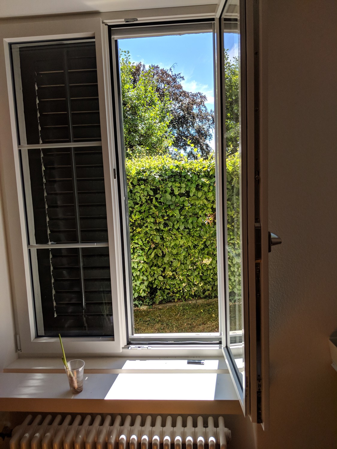 2 ½ rooms apartment, Foto 6 von 8