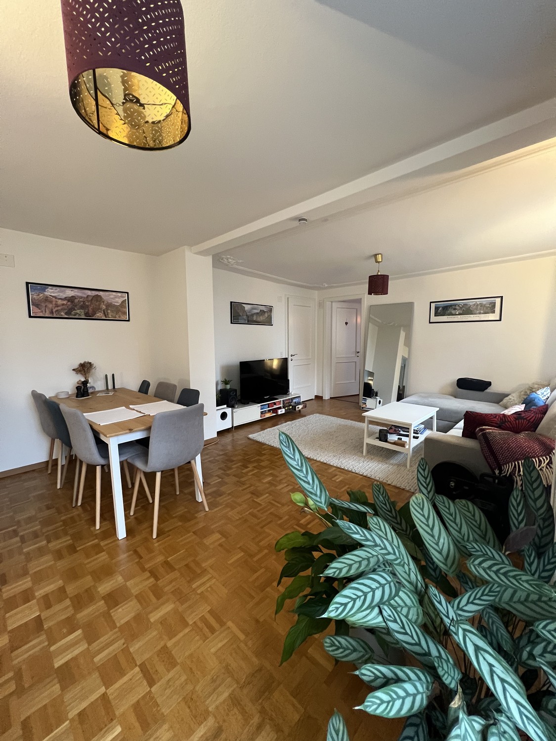 2 ½ rooms apartment, Foto 1 von 8