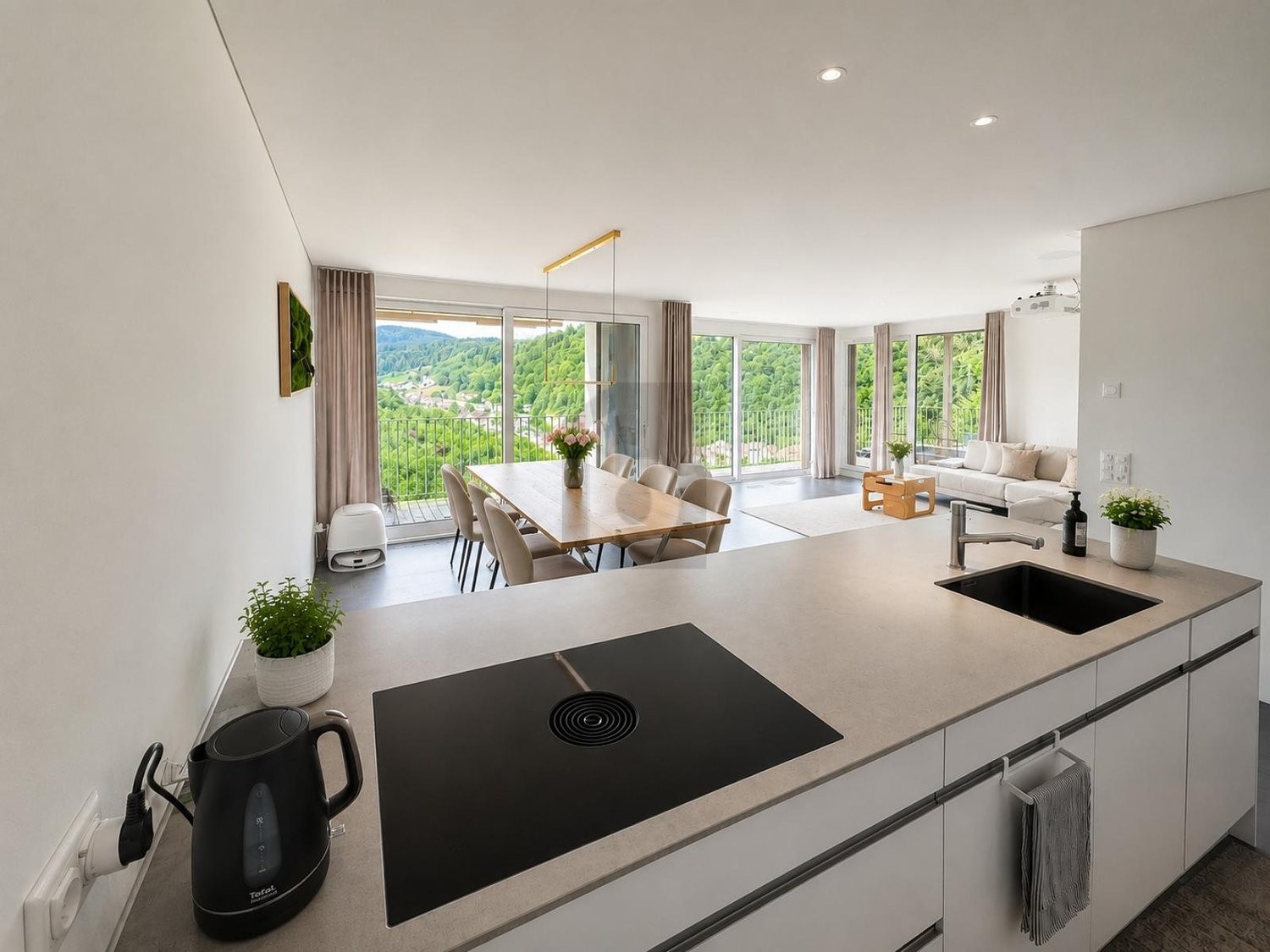 5 ½ rooms terrace flat