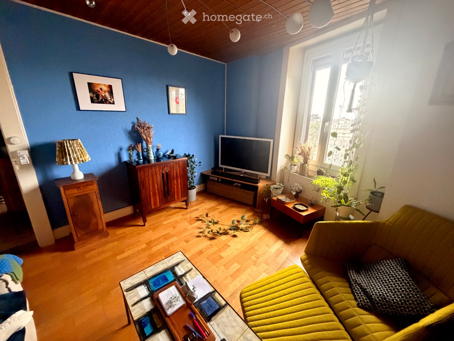 1 room single room