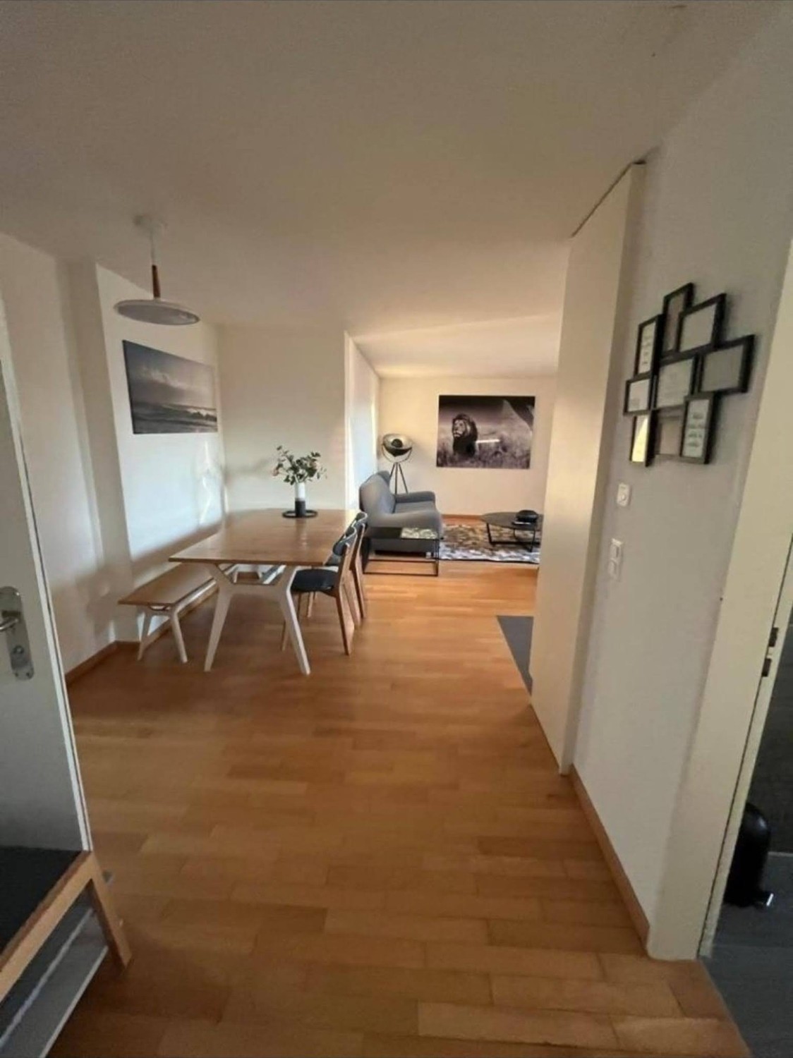 1 rooms apartment