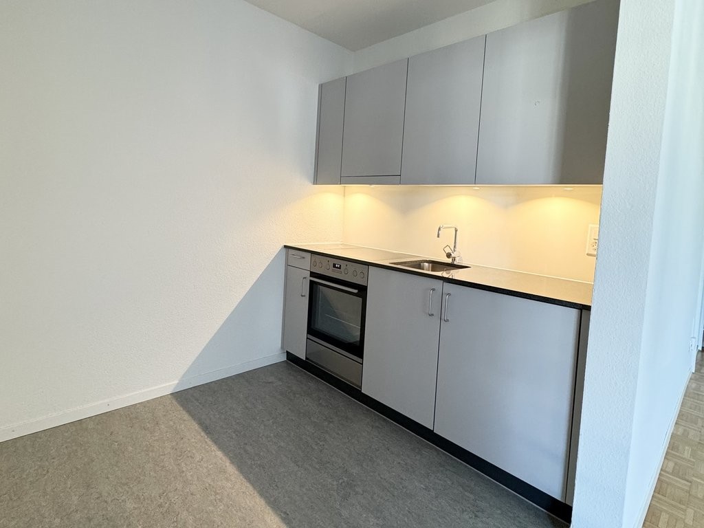 1 room apartment