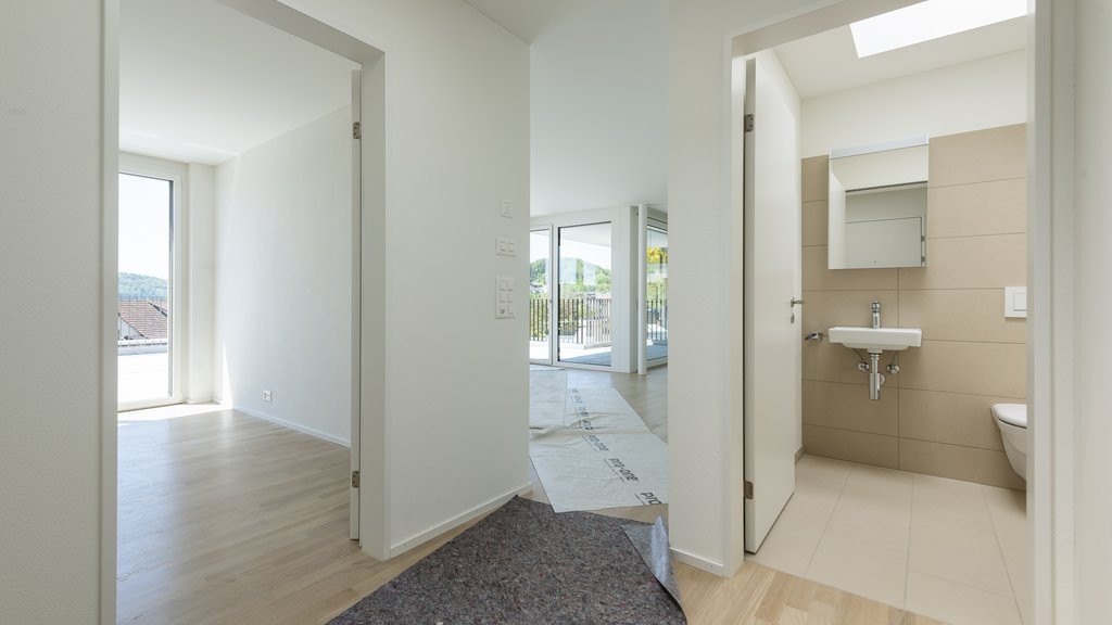 2 ½ pièces appartement