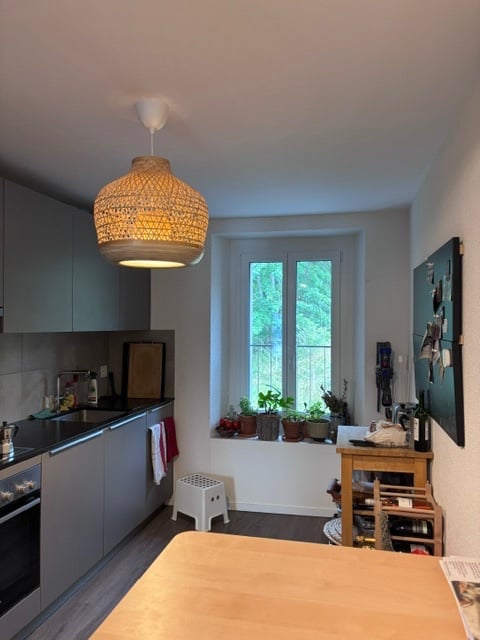 3 ½ room apartment