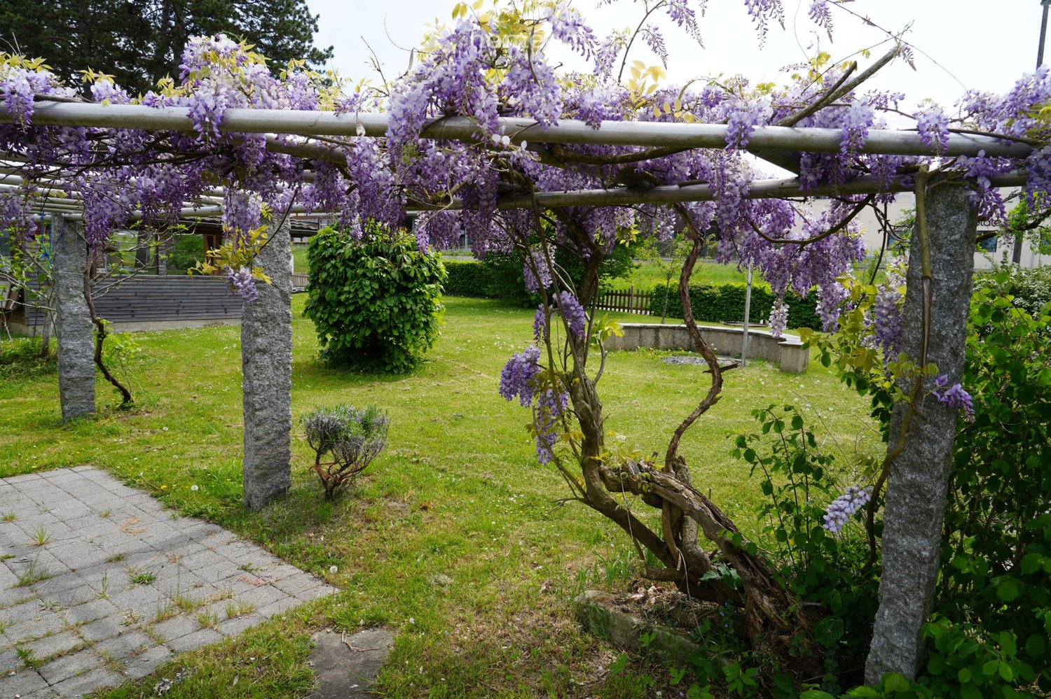 6 ½ rooms single house, Foto 5 von 5