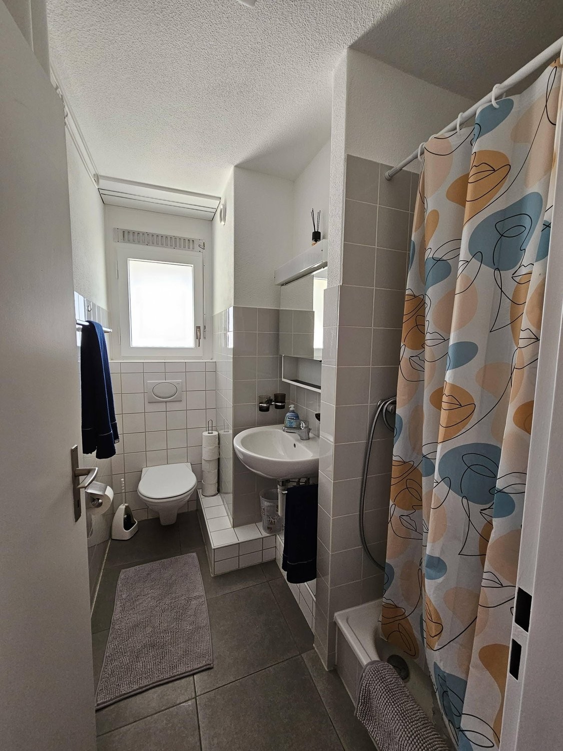 appartement meublé 1 pièce