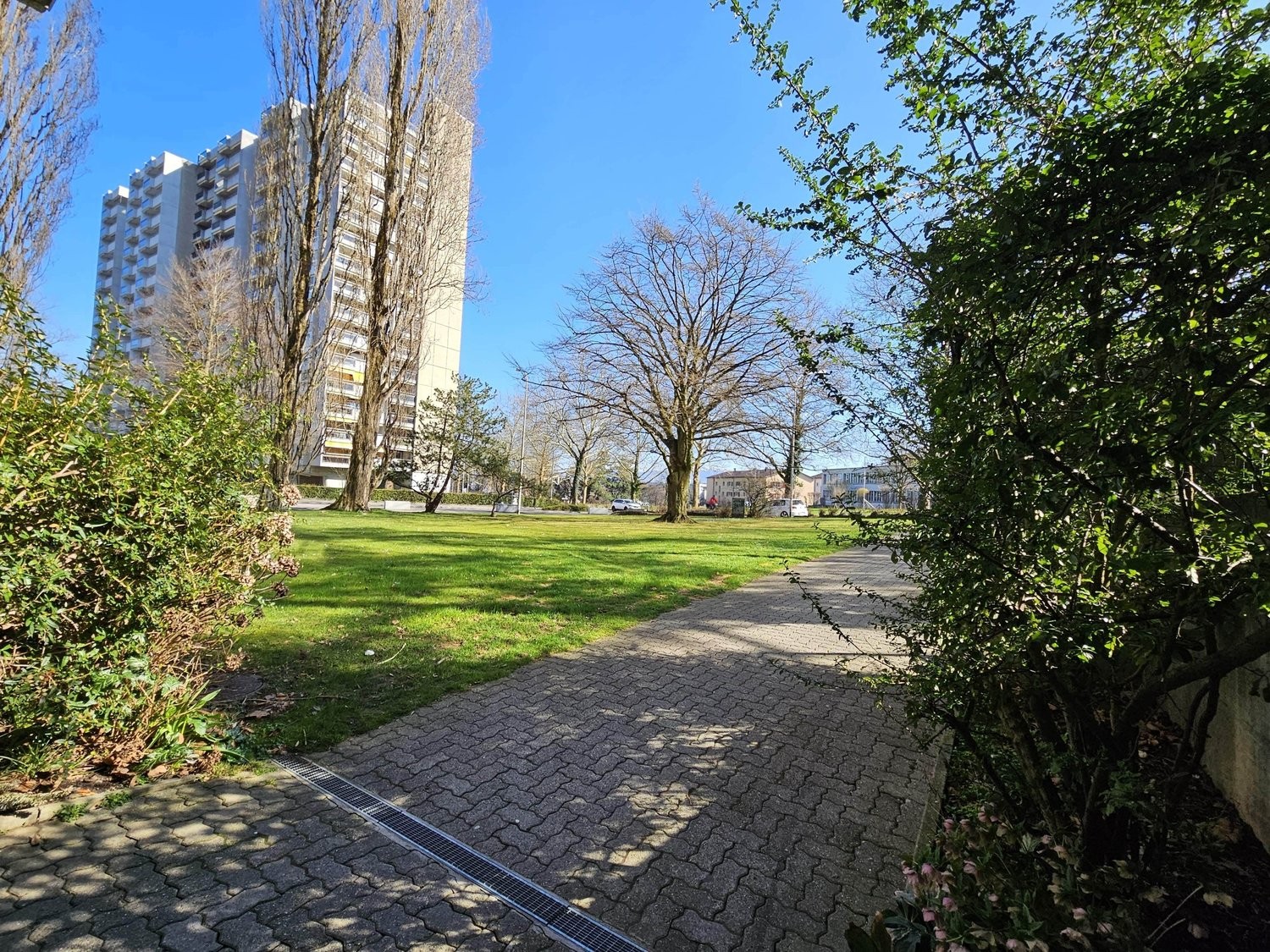 appartement meublé 1 pièce