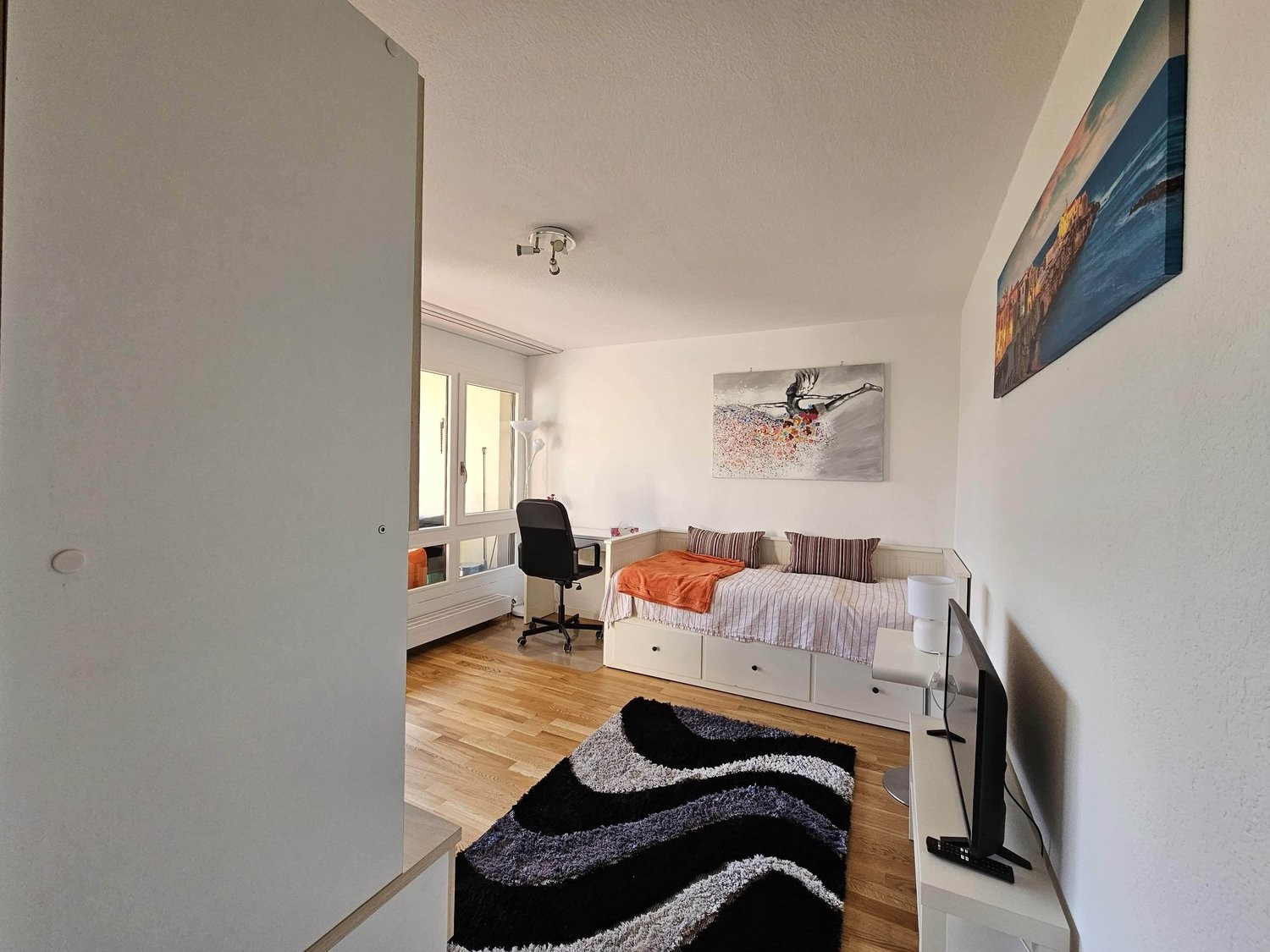 appartement meublé 1 pièce